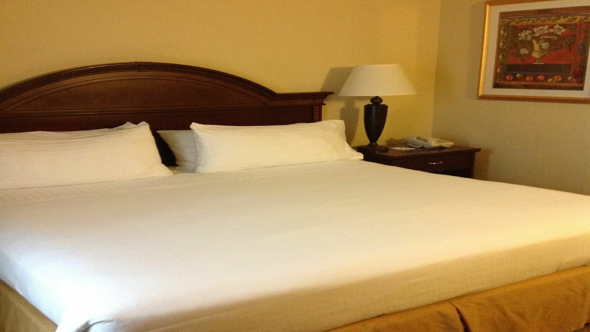 Holiday Inn Express Hotel & Suites Pigeon Forge By Ihg Kültér fotó